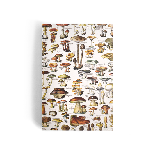 Vintage Mushroom Exposed Binding Notebook