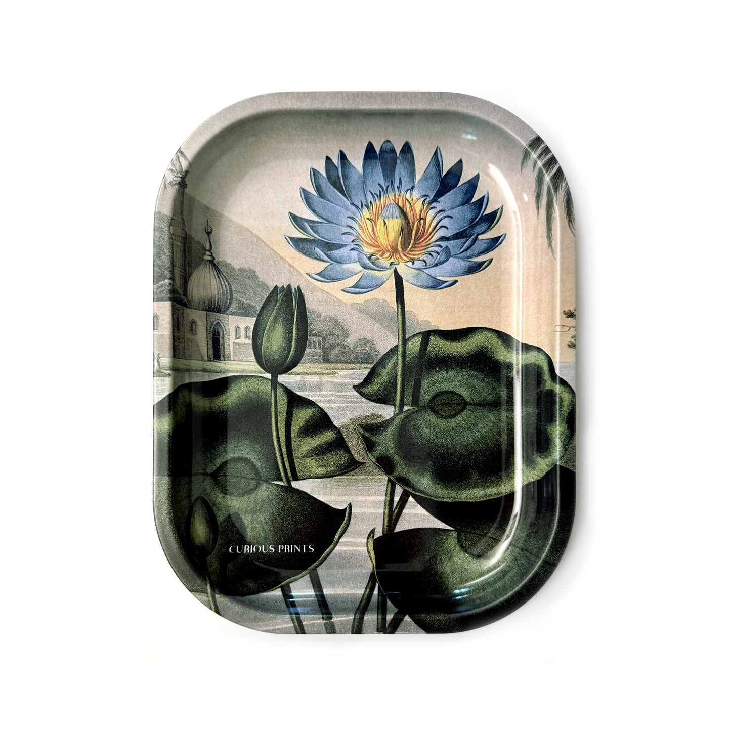 Small Metal Blue Lotus Water Lily Trinket Tray / Vintage Print