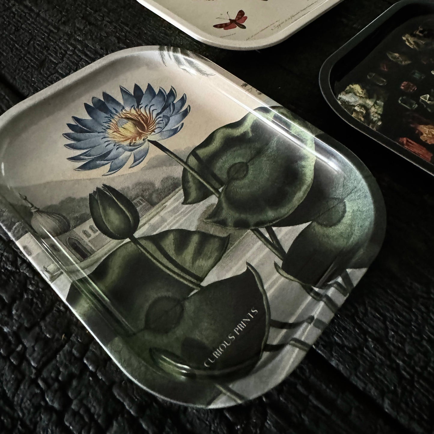 Small Metal Blue Lotus Water Lily Trinket Tray / Vintage Print