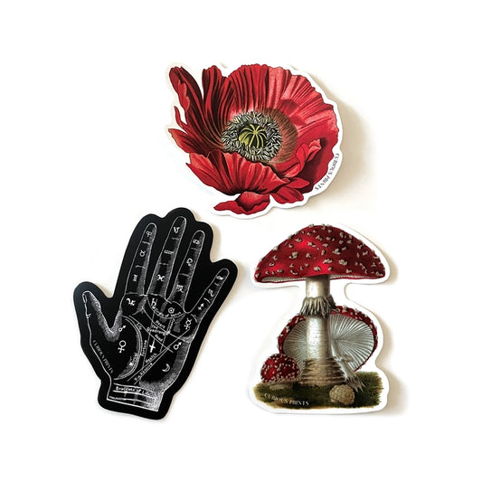 Vintage Botanical Poppy Flower Waterproof Sticker