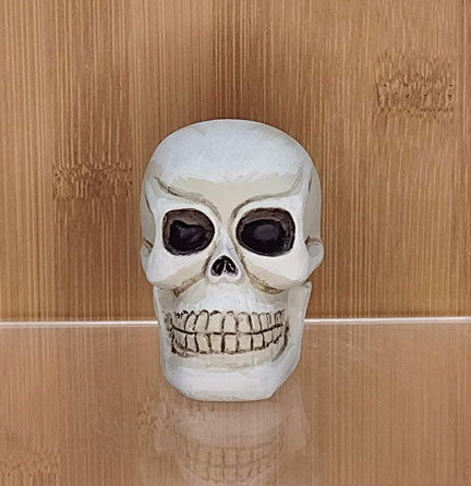 Painted Skull: bone