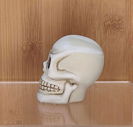 Painted Skull: bone