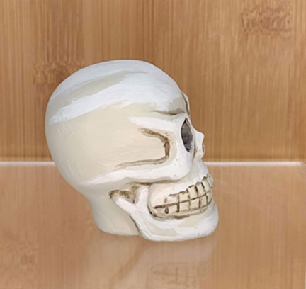 Painted Skull: bone