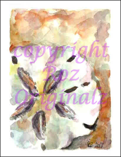Card: Sand Dollar