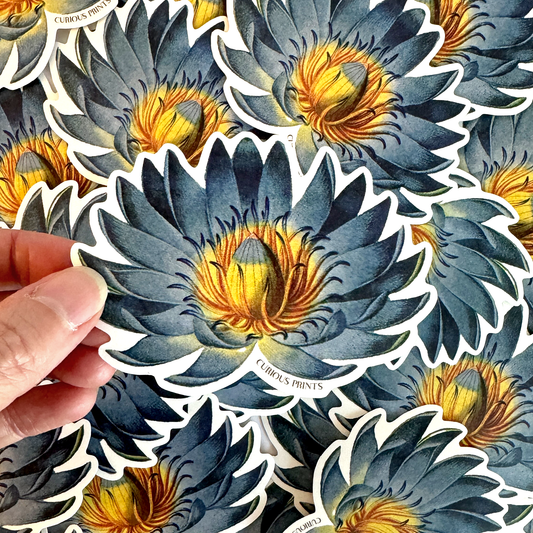 Vintage Botanical Blue Lotus Water Lily Sticker