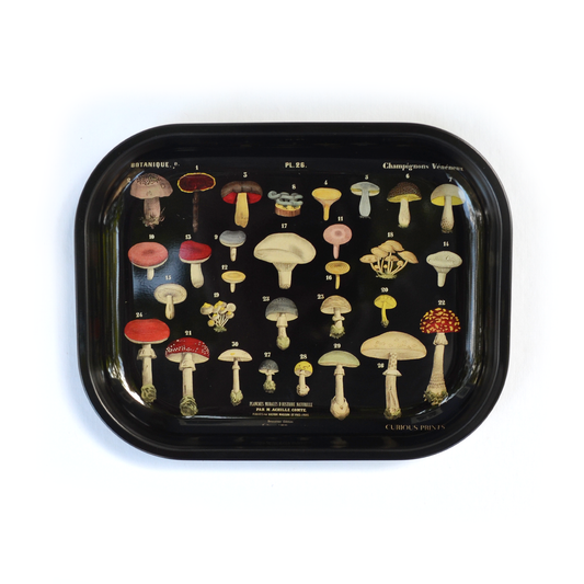 Small Metal Black Mushroom Ritual Tray / Vintage Fungi Print