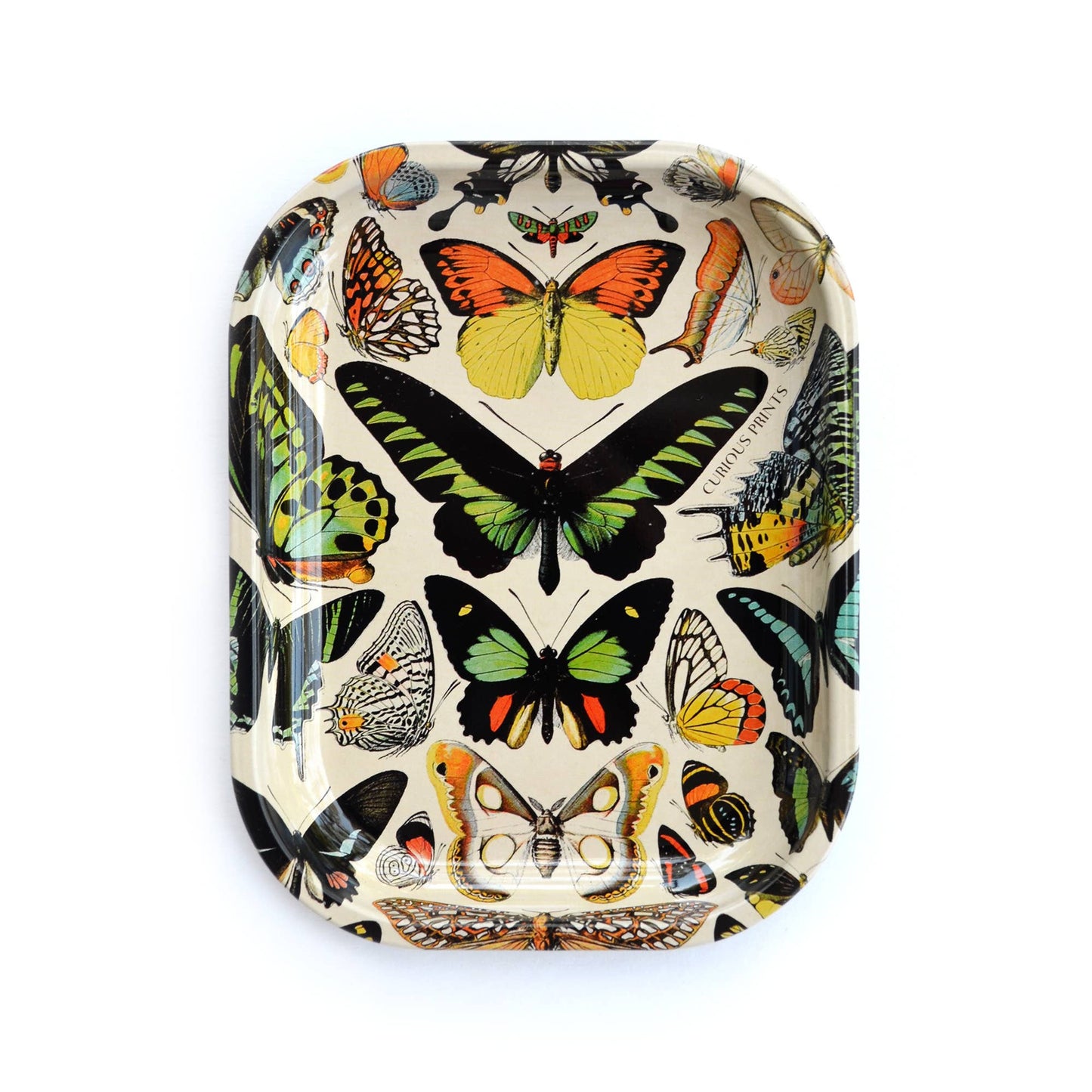 Small Metal Butterfly 1 Tray / Vintage Butterflies Print