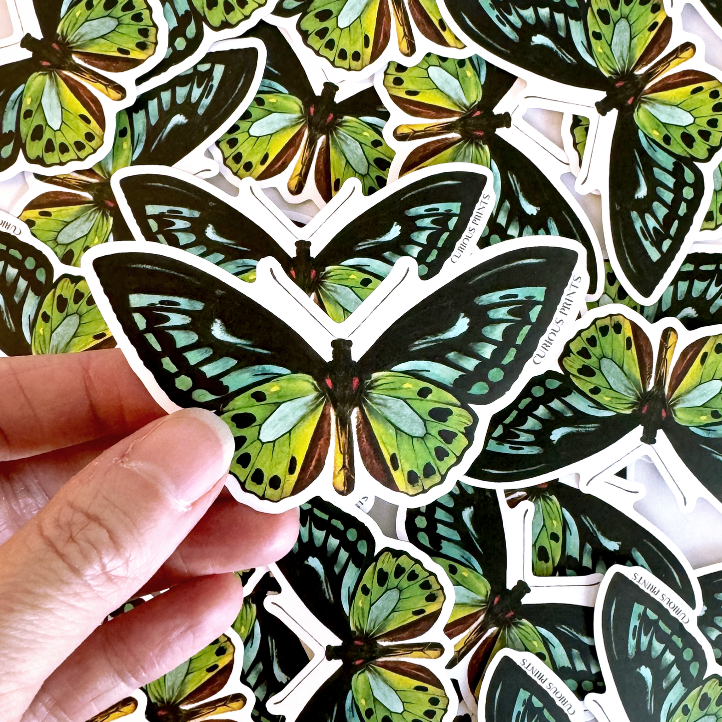 Vintage Blue Green Birdwing Butterfly Sticker