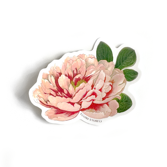 Vintage Botanical Peony Flower Waterproof Sticker