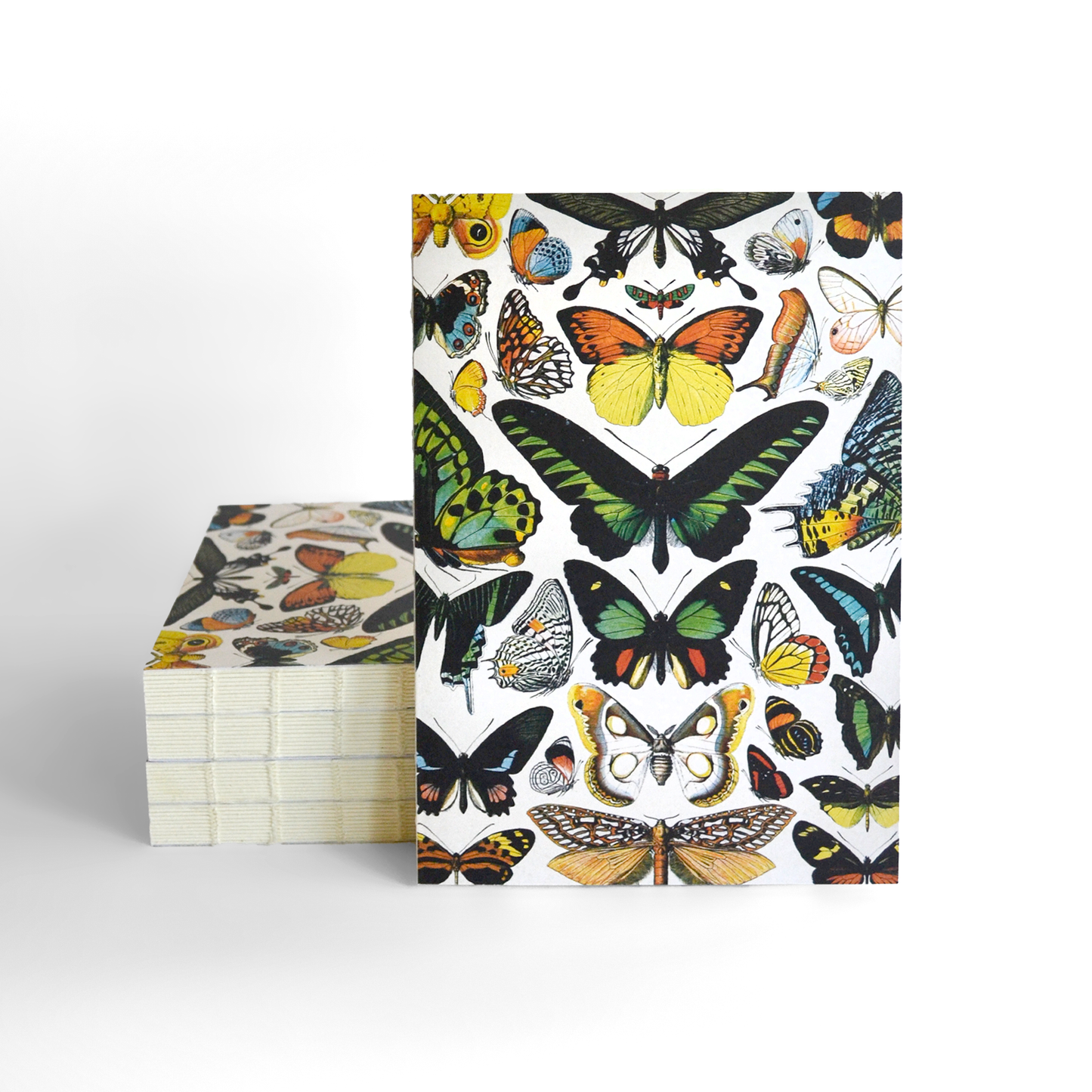 Vintage Butterfly Exposed Binding Notebook