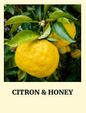 Citron & Honey Moisturizing Hand & Body Lotion