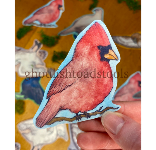 Cardinal Watercolor Bird Sticker