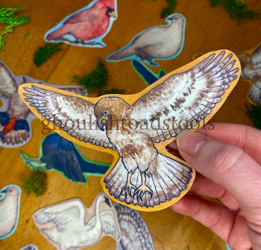 Hawk Watercolor Bird Sticker