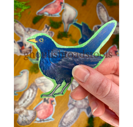 Blackbird Watercolor Bird Sticker