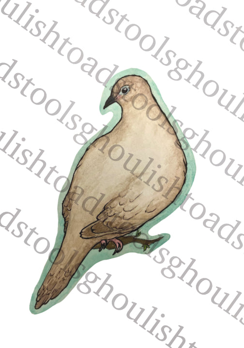 Dove Watercolor Bird Sticker