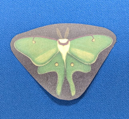 Luna Moth Sticker