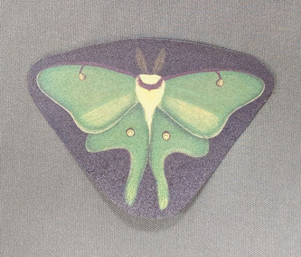 Luna Moth Sticker