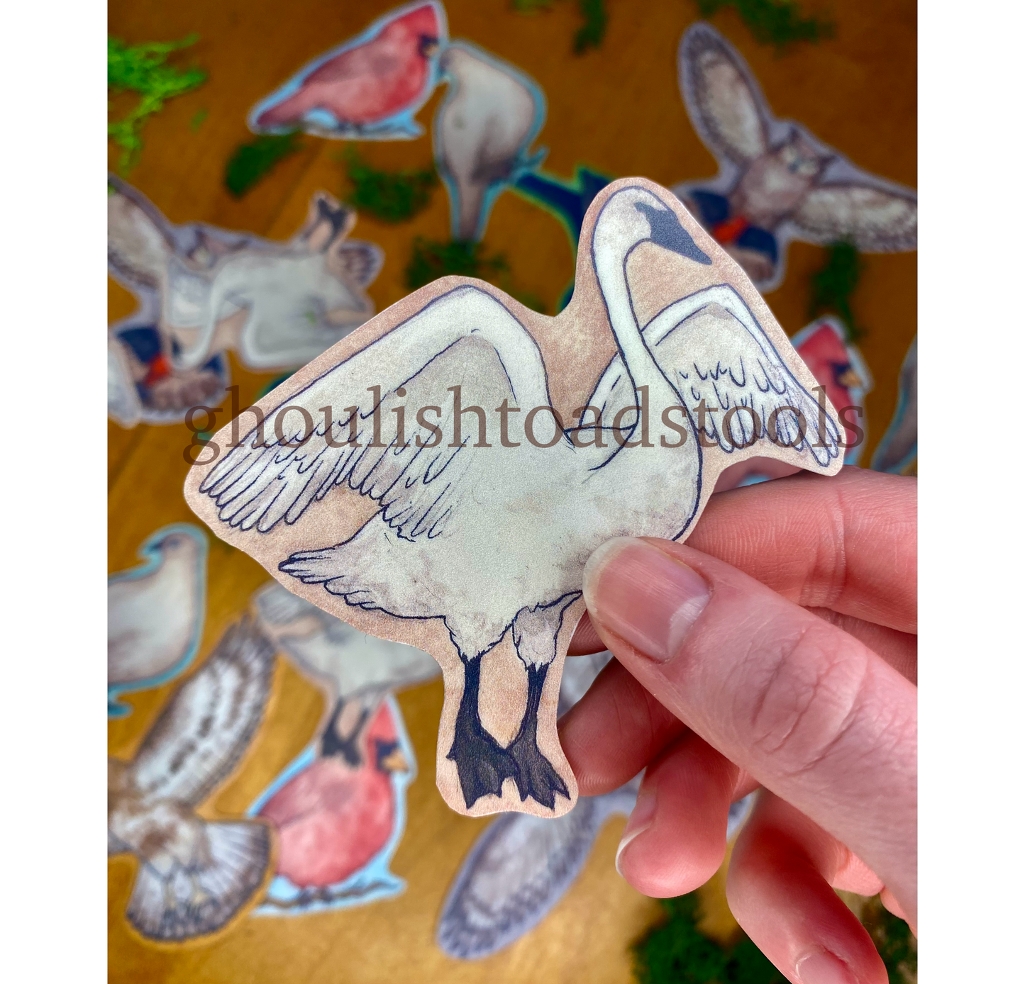 Swan Watercolor Bird Sticker